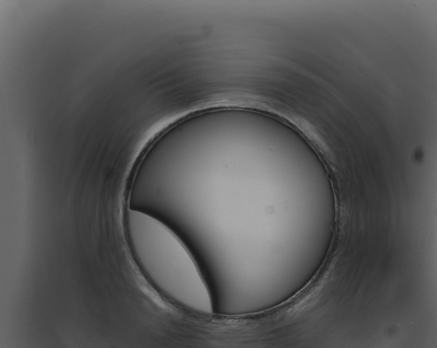 X0000094820846200711161026