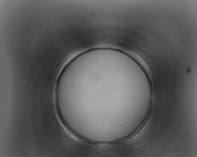 X0000094820847200711161026