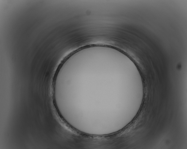 X0000094820848200711161026