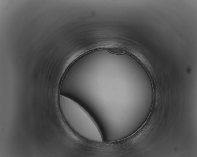 X0000094820850200711161026