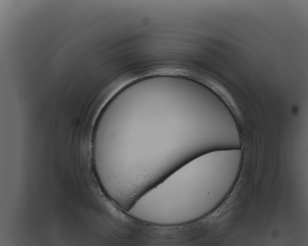 X0000094820852200711161026