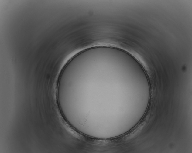 X0000094820854200711161026