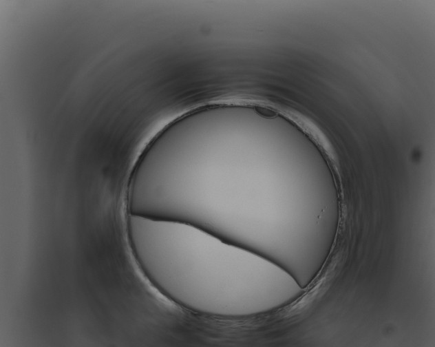 X0000094820855200711161026