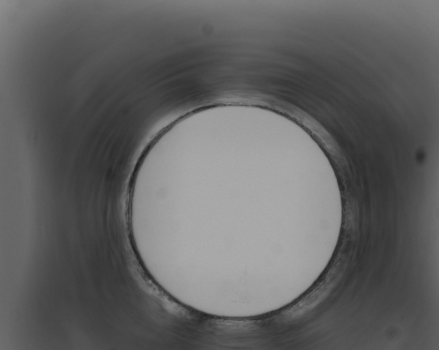 X0000094820856200711161026
