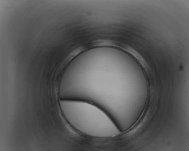 X0000094820857200711161026