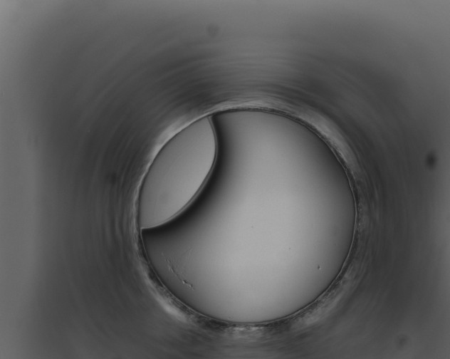 X0000094820858200711161026