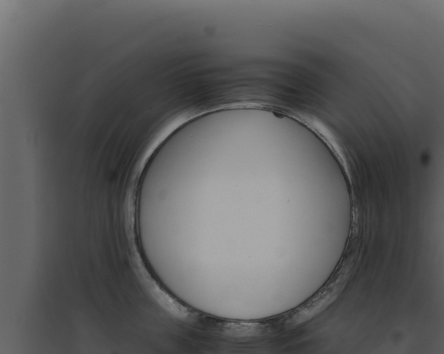 X0000094820859200711161026