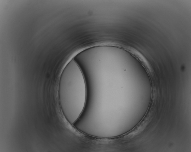 X0000094820860200711161026