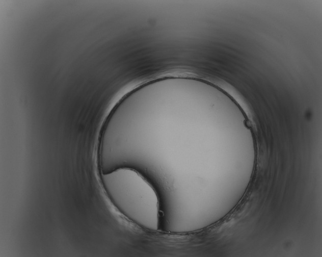X0000094820861200711161026