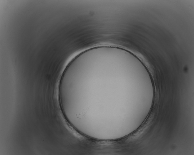 X0000094820862200711161026