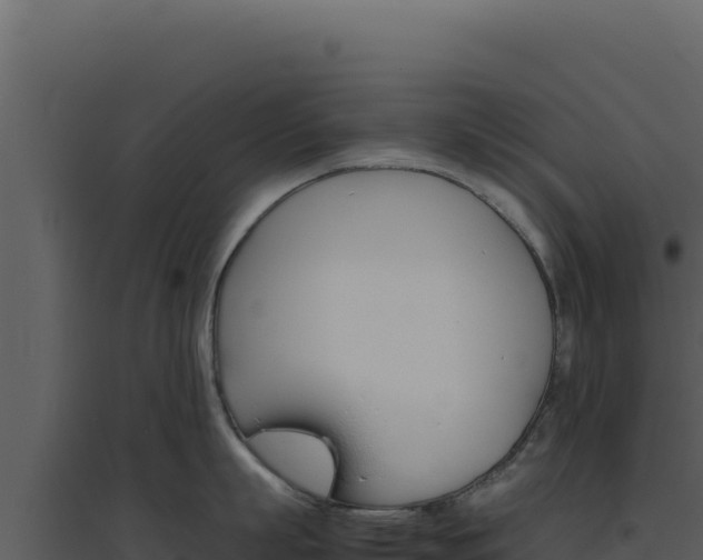 X0000094820863200711161026