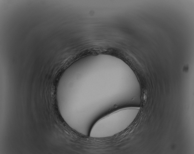 X0000094820867200711161025