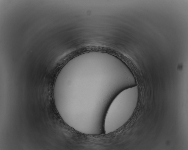X0000094820870200711161025