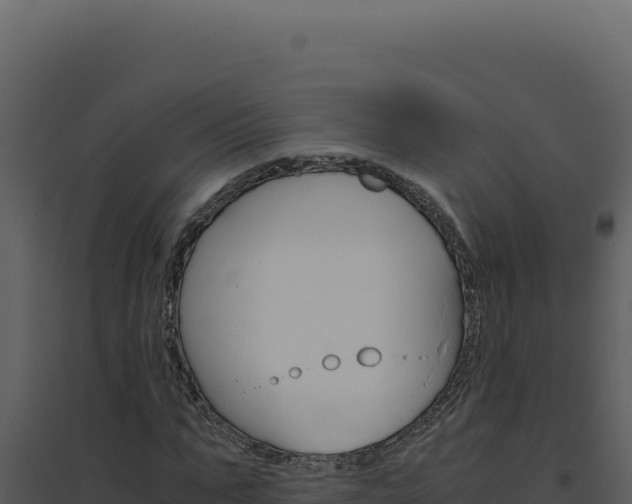 X0000094820871200711161025