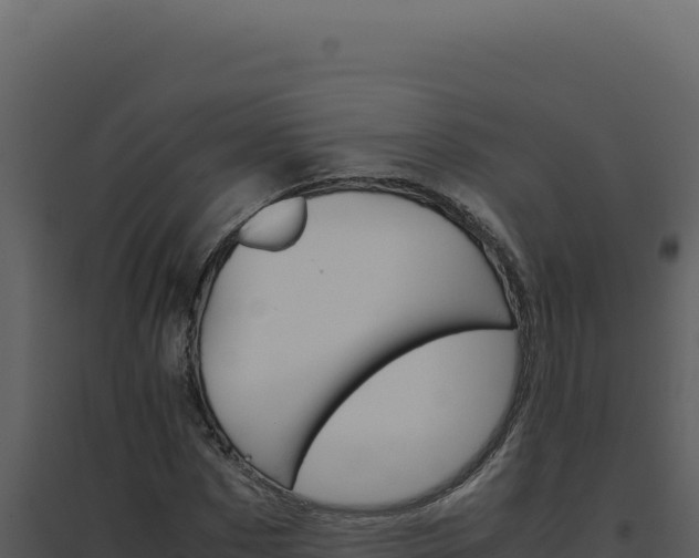 X0000094820873200711161025