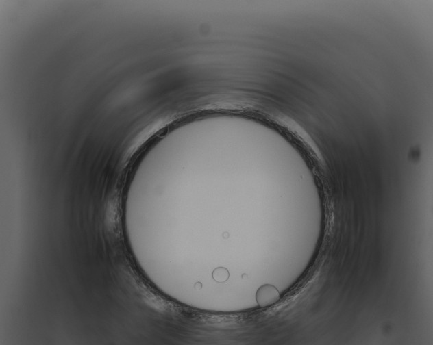 X0000094820874200711161025