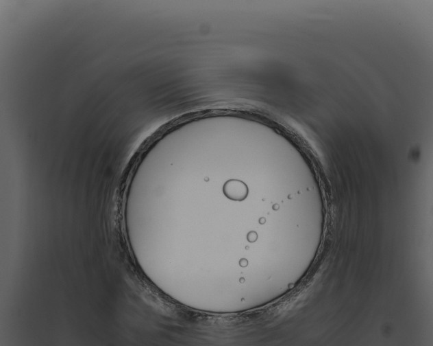 X0000094820875200711161025