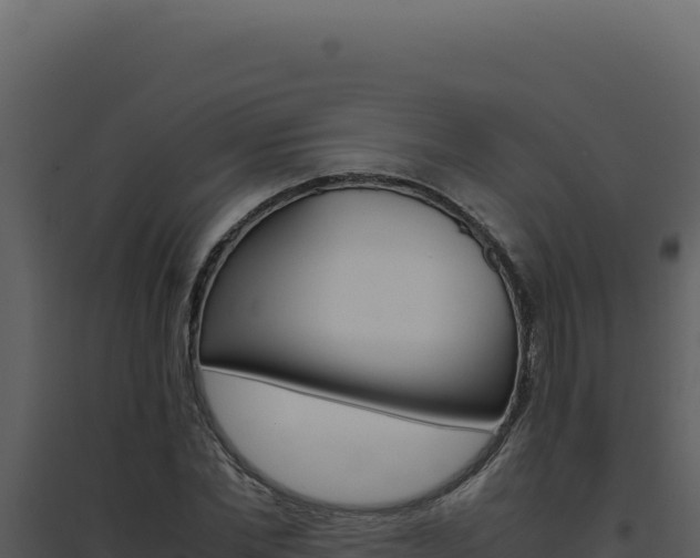 X0000094820877200711161025