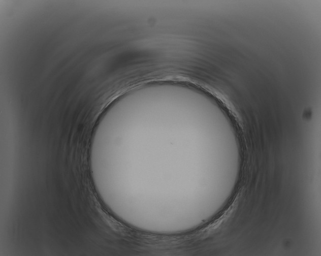 X0000094820881200711161025