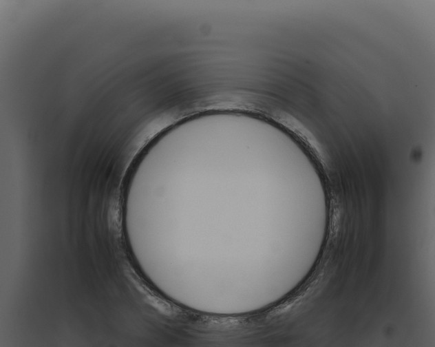 X0000094820882200711161025
