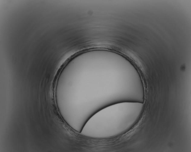 X0000094820883200711161025