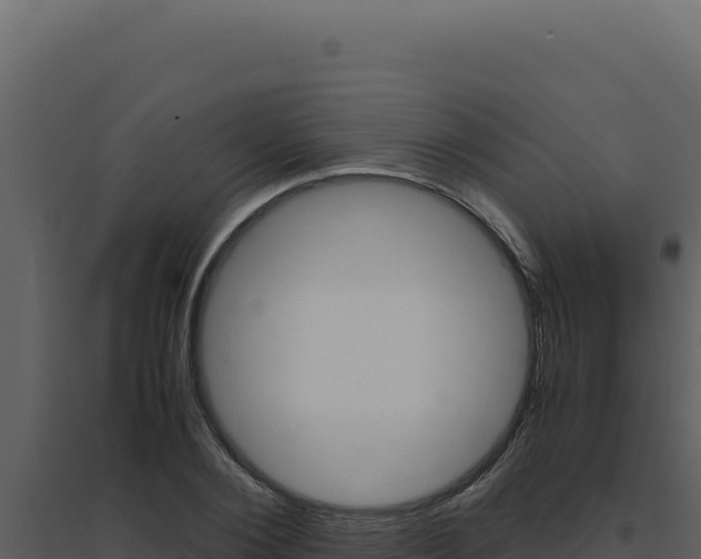 X0000094820884200711161025