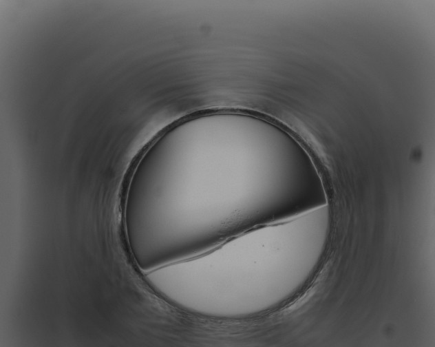 X0000094820885200711161025