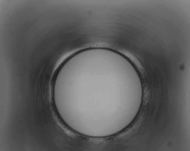 X0000094820886200711161025