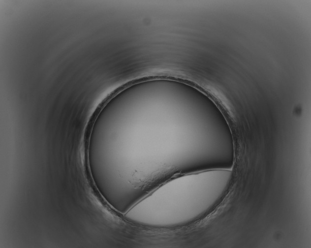 X0000094820888200711161025