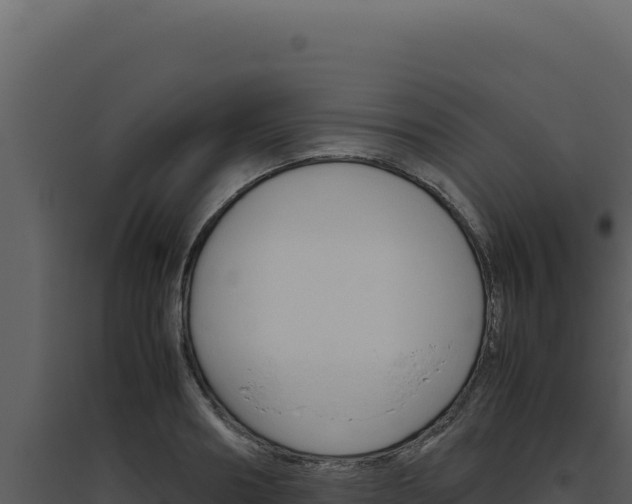 X0000094820890200711161025