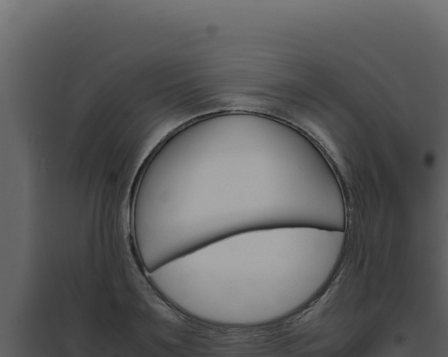 X0000094820891200711161025