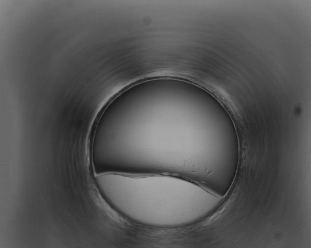 X0000094820892200711161025