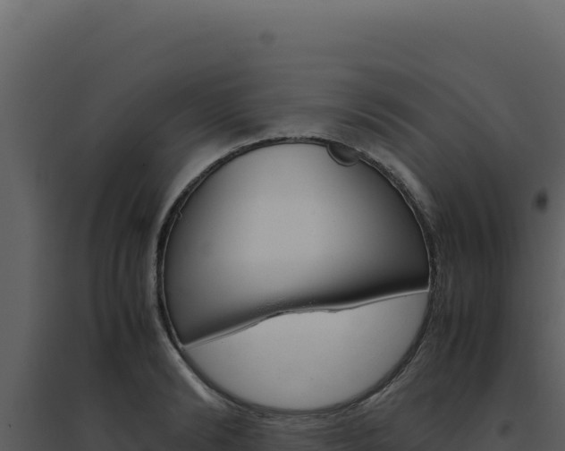 X0000094820894200711161025