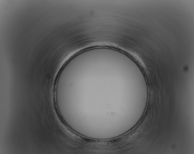 X0000094820895200711161025