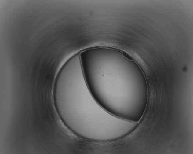 X0000094820896200711161025