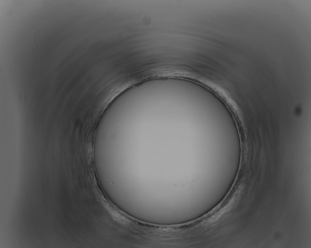 X0000094820897200711161025
