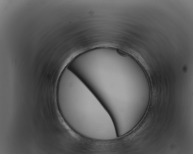 X0000094820898200711161025