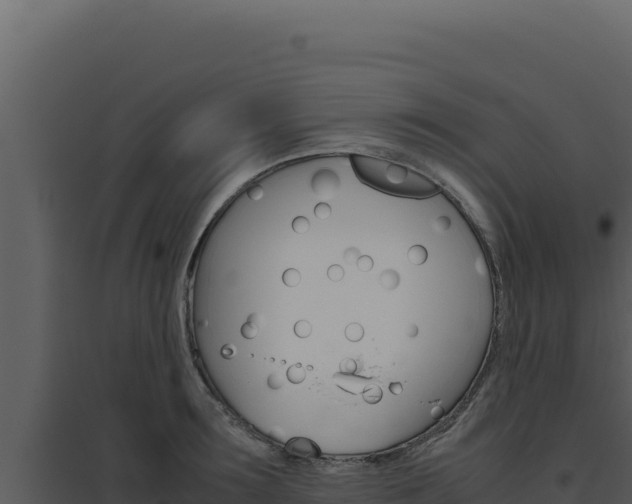 X0000094820899200711161025