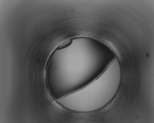 X0000094820900200711161025