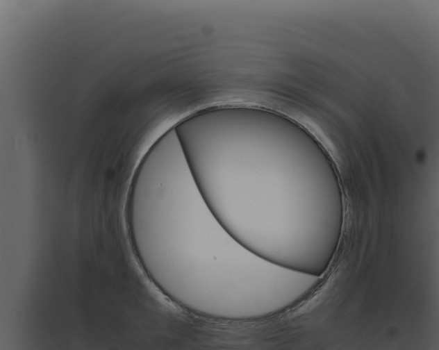X0000094820901200711161025