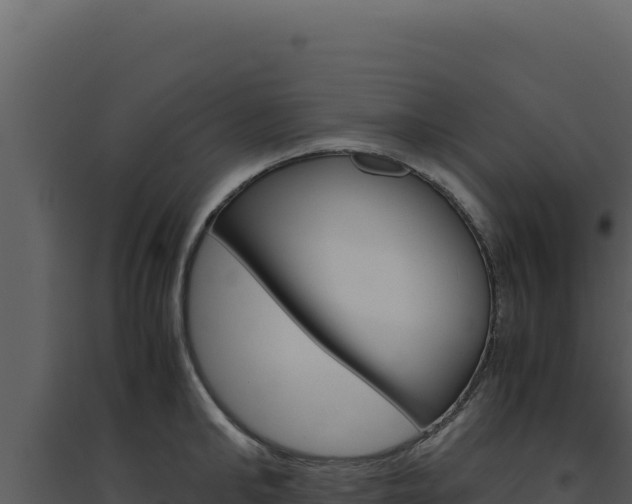 X0000094820902200711161025