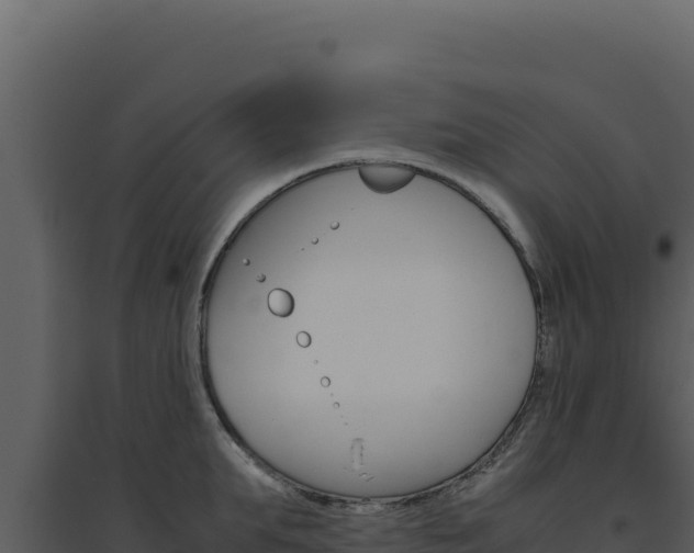 X0000094820903200711161025