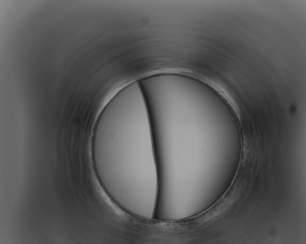 X0000094820906200711161025