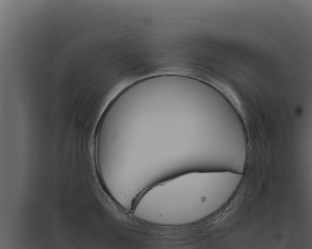 X0000094820907200711161025