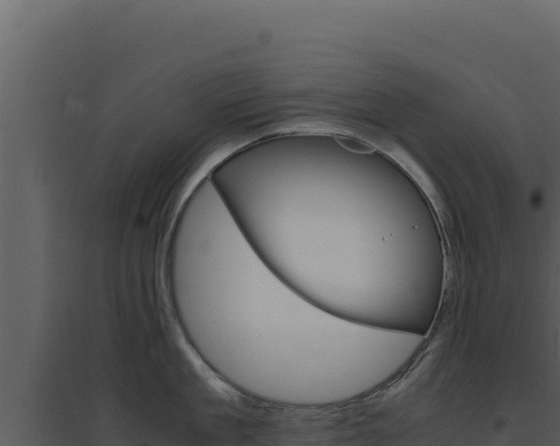 X0000094820909200711161025