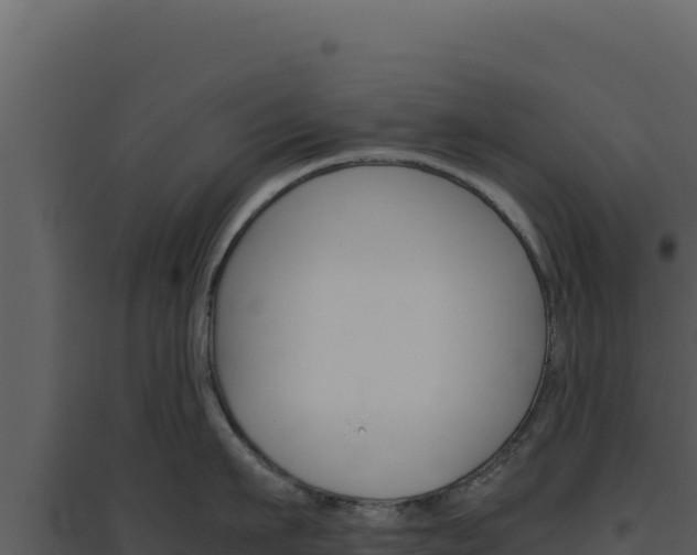 X0000094820911200711161025