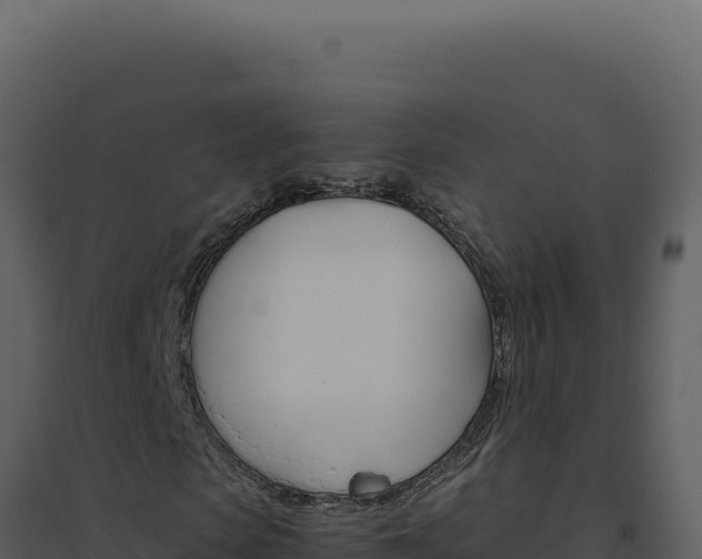 X0000094820913200711161024