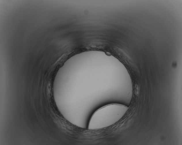 X0000094820915200711161024