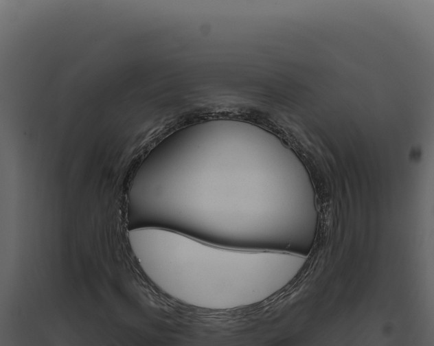X0000094820916200711161024