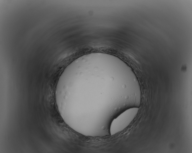 X0000094820917200711161024
